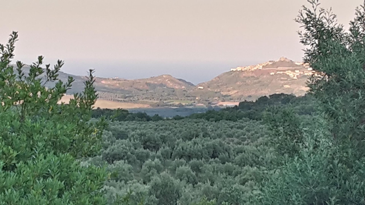 Photo of Others in Girifalco