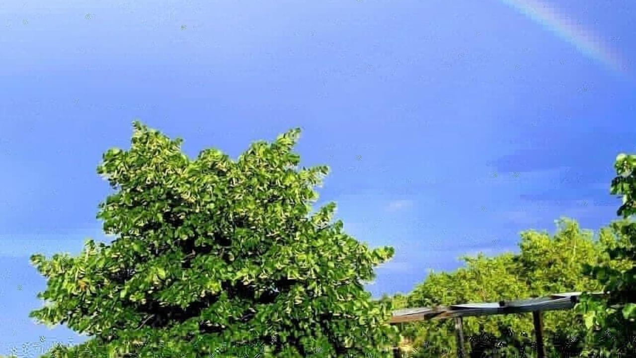 Photo of Outdoor in Girifalco