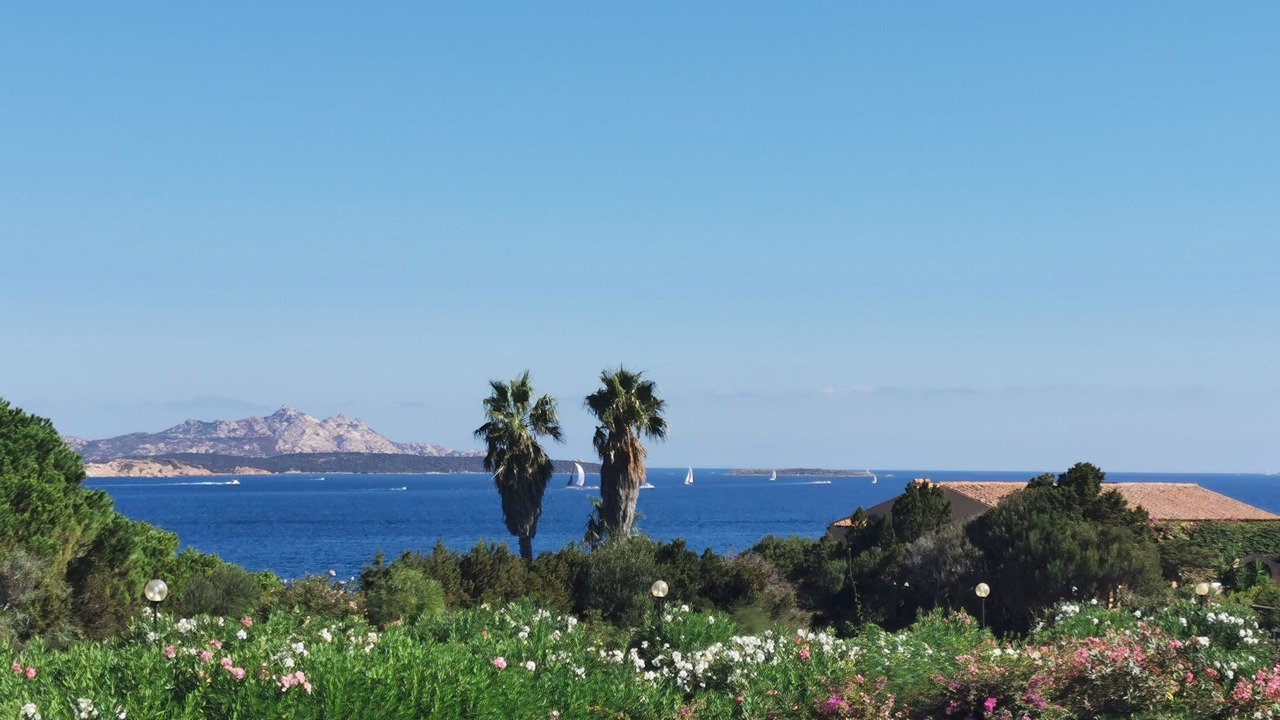 Photo of Others in Baja Sardinia