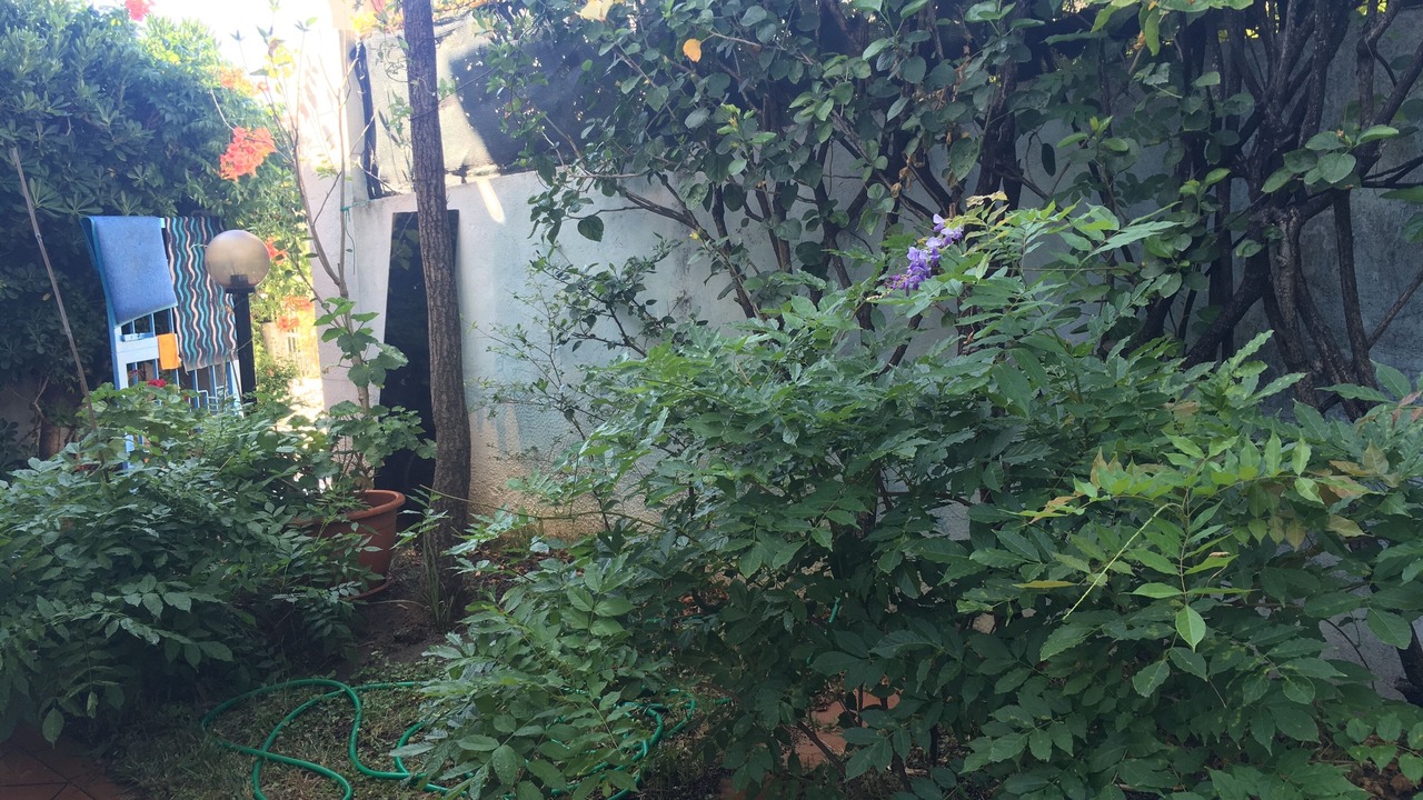 Photo of Outdoor in Copanello