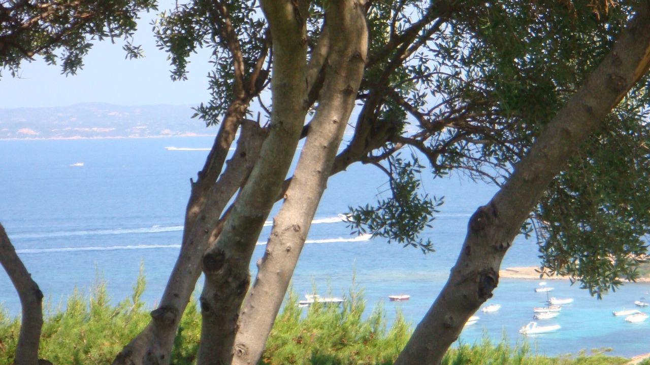 Photo of Others in Porto Rotondo