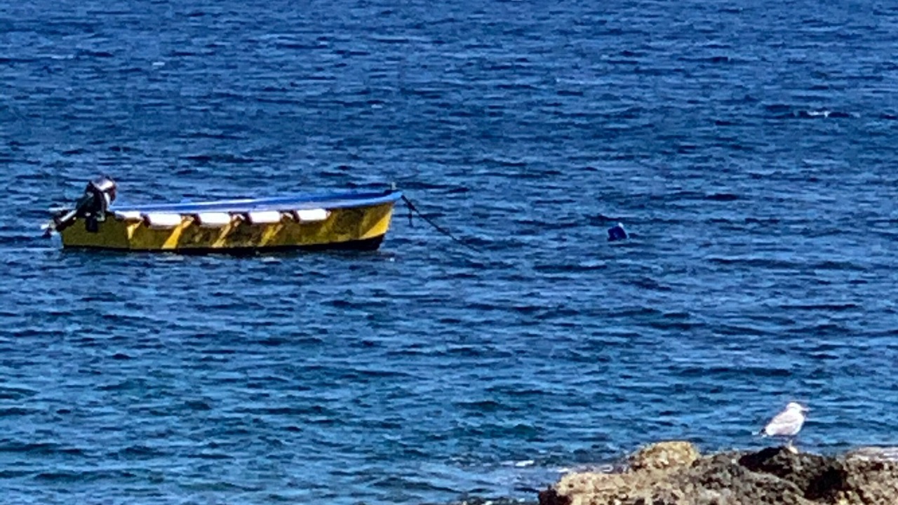 Photo of Others in Marina del Cantone