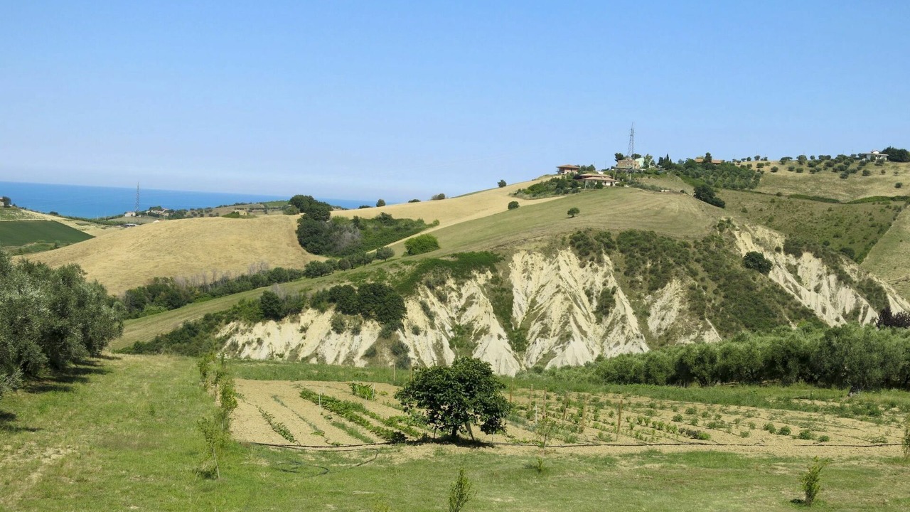 Photo of Others in Cologna Spiaggia