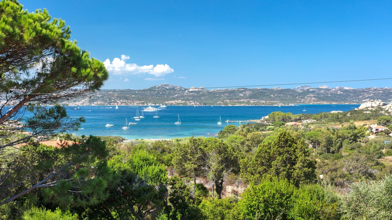 Photo of Others in Baja Sardinia