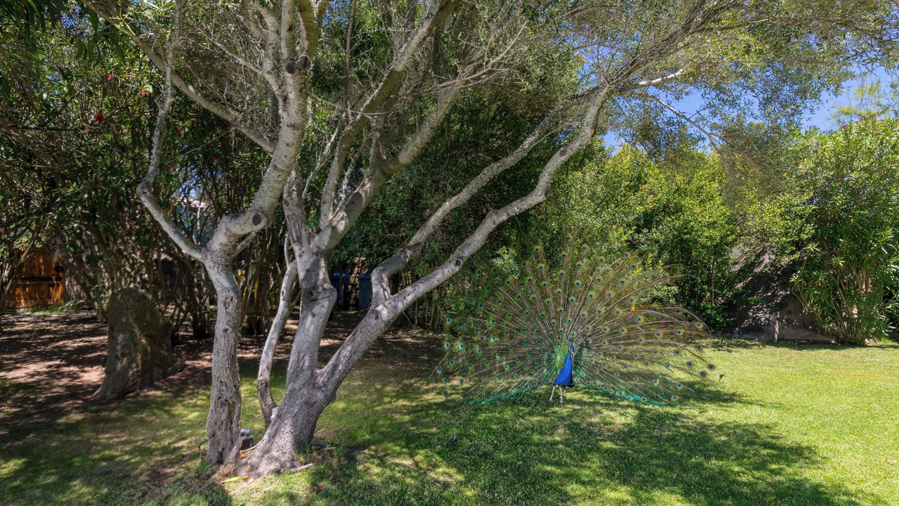 Photo of Outdoor in Porto Rotondo