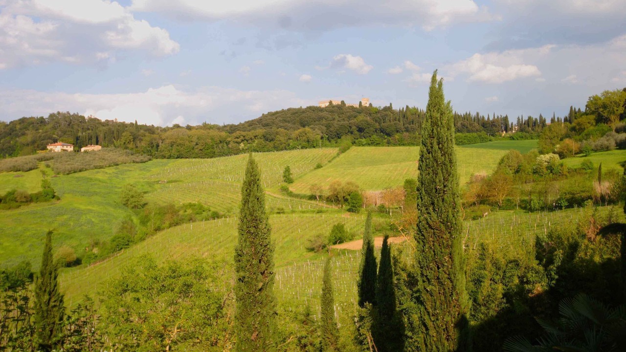 Photo of Others in Poggiarello