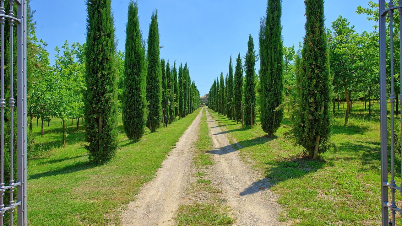 Photo of Others in Fratticciola