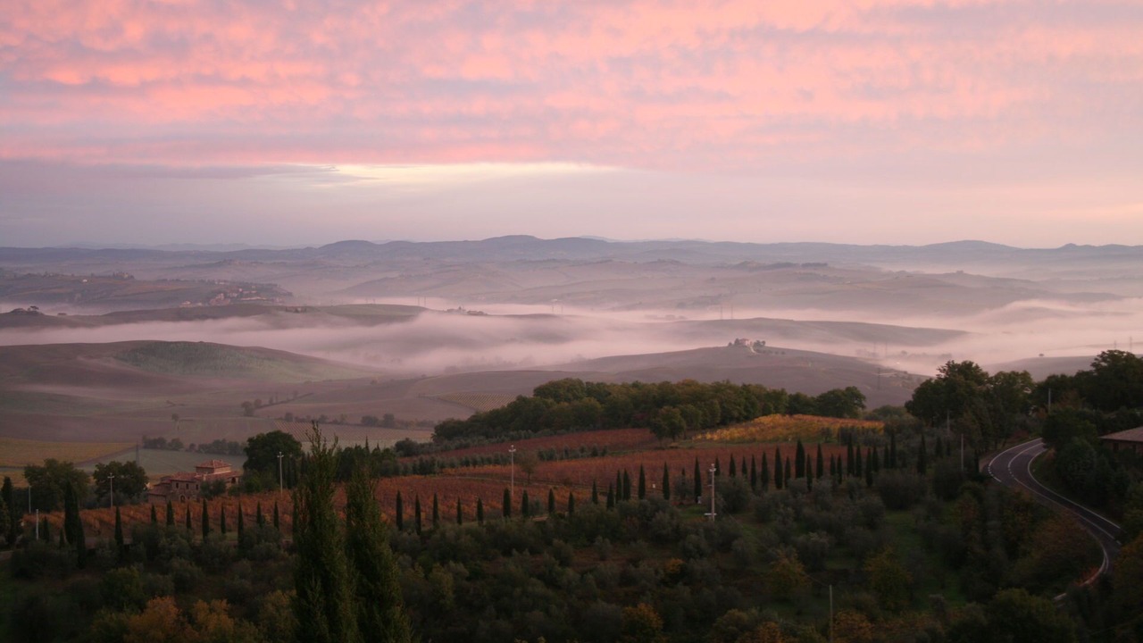 Photo of Others in Montalcino