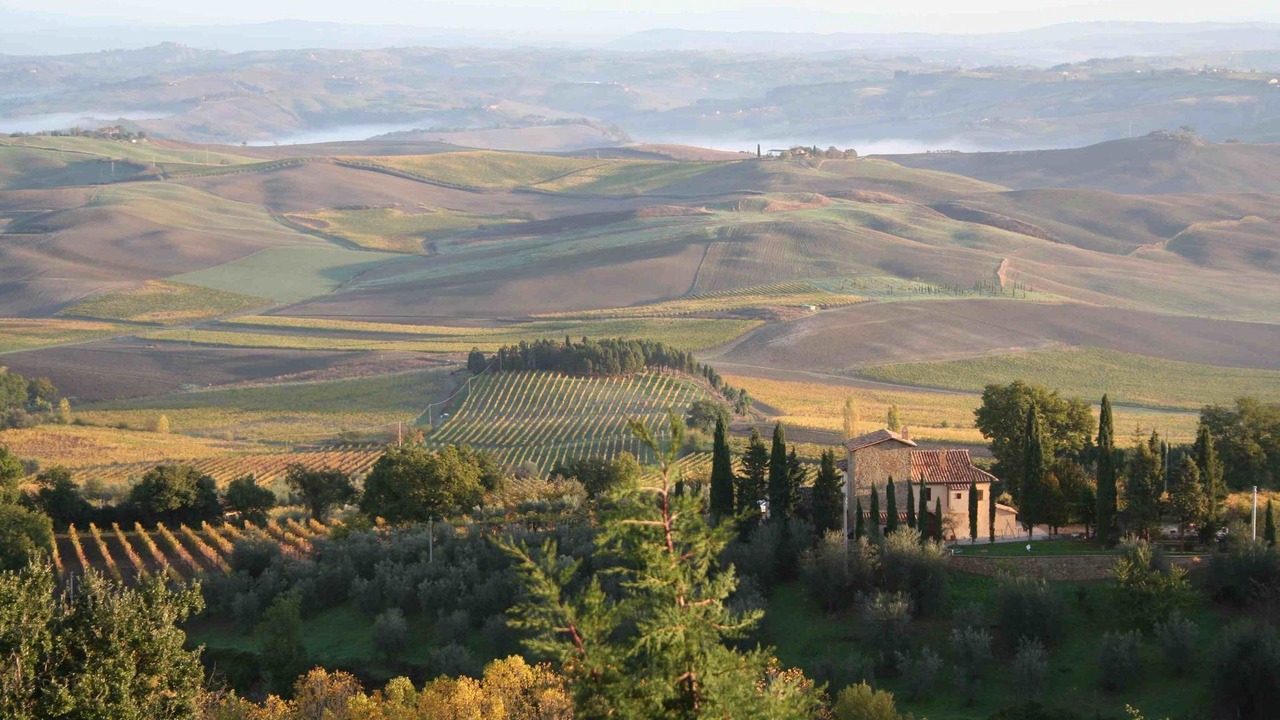 Photo of Others in Montalcino