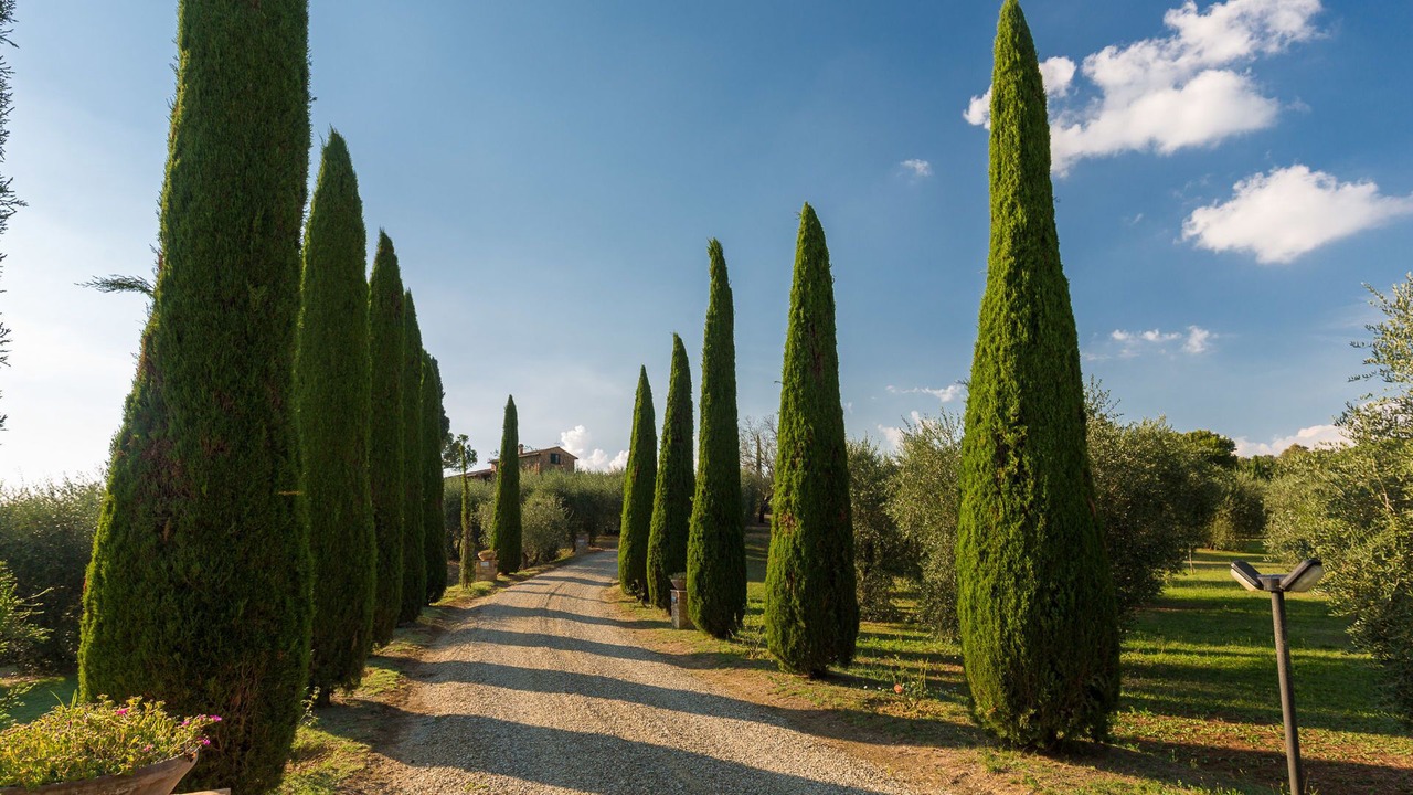 Photo of Others in Lucignano