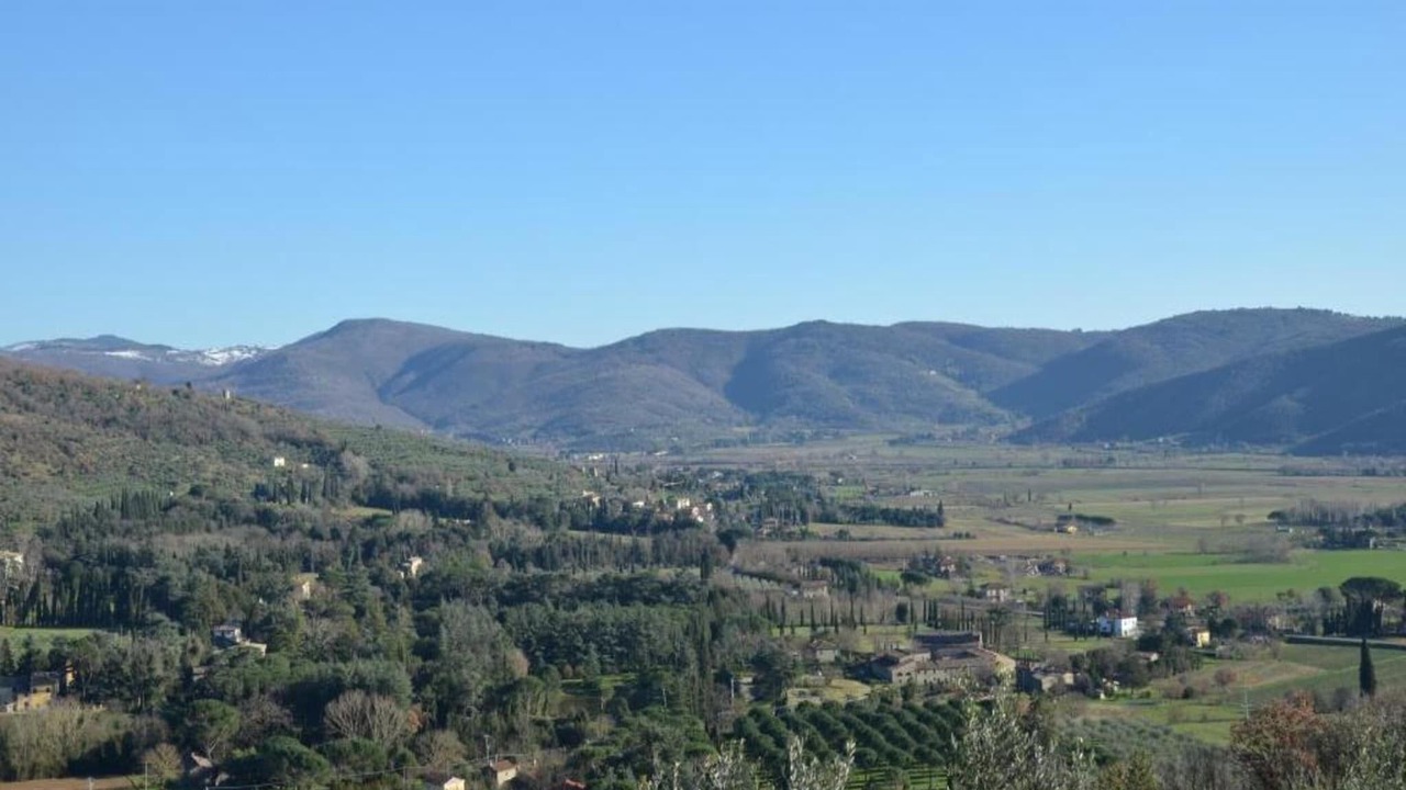 Photo of Others in Ossaia