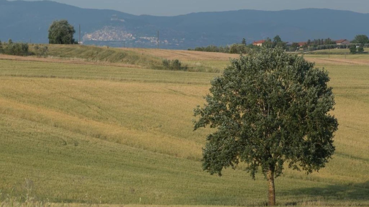 Photo of Others in Ossaia