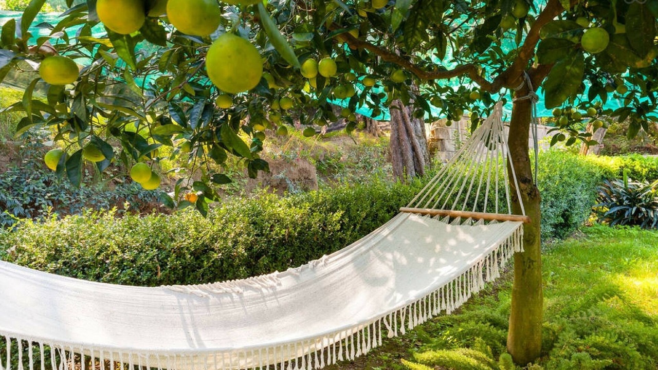 Photo of Outdoor in Priora