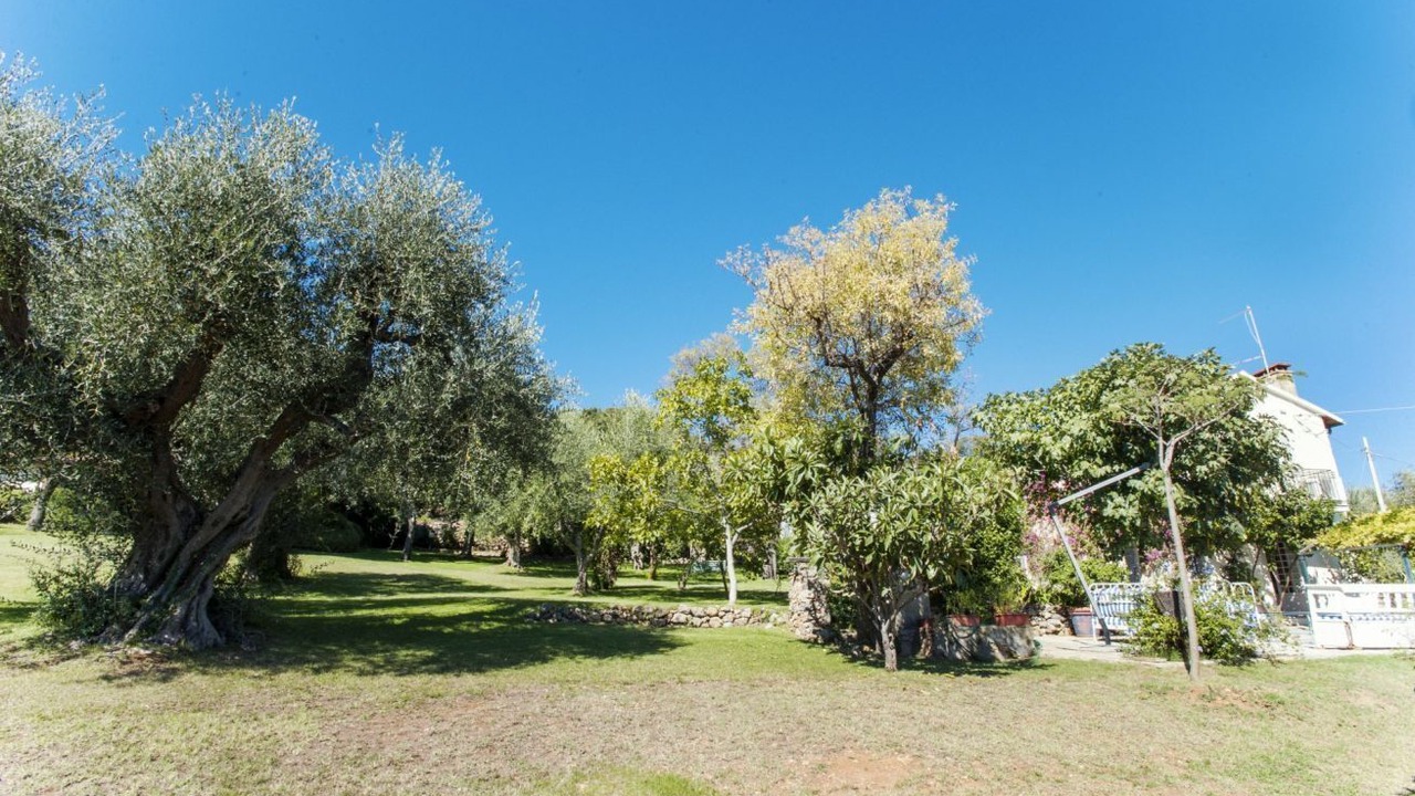 Photo of Others in Porto Ercole