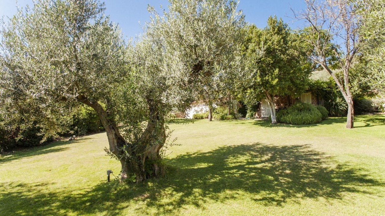 Photo of Outdoor in Porto Ercole