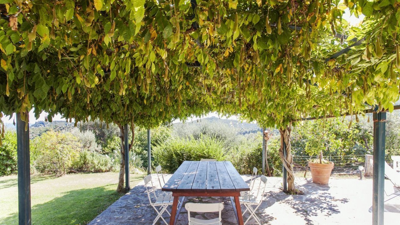 Photo of Outdoor in Porto Ercole