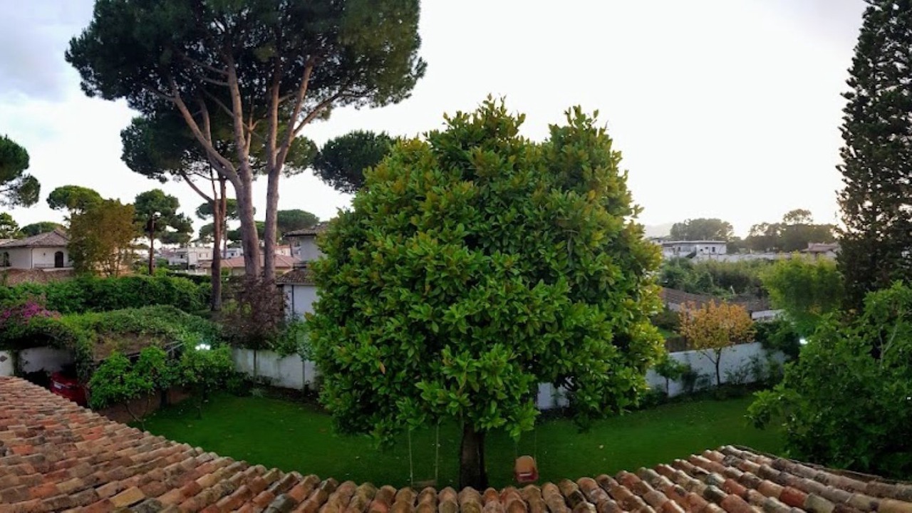 Photo of Outdoor in Colonia Elena