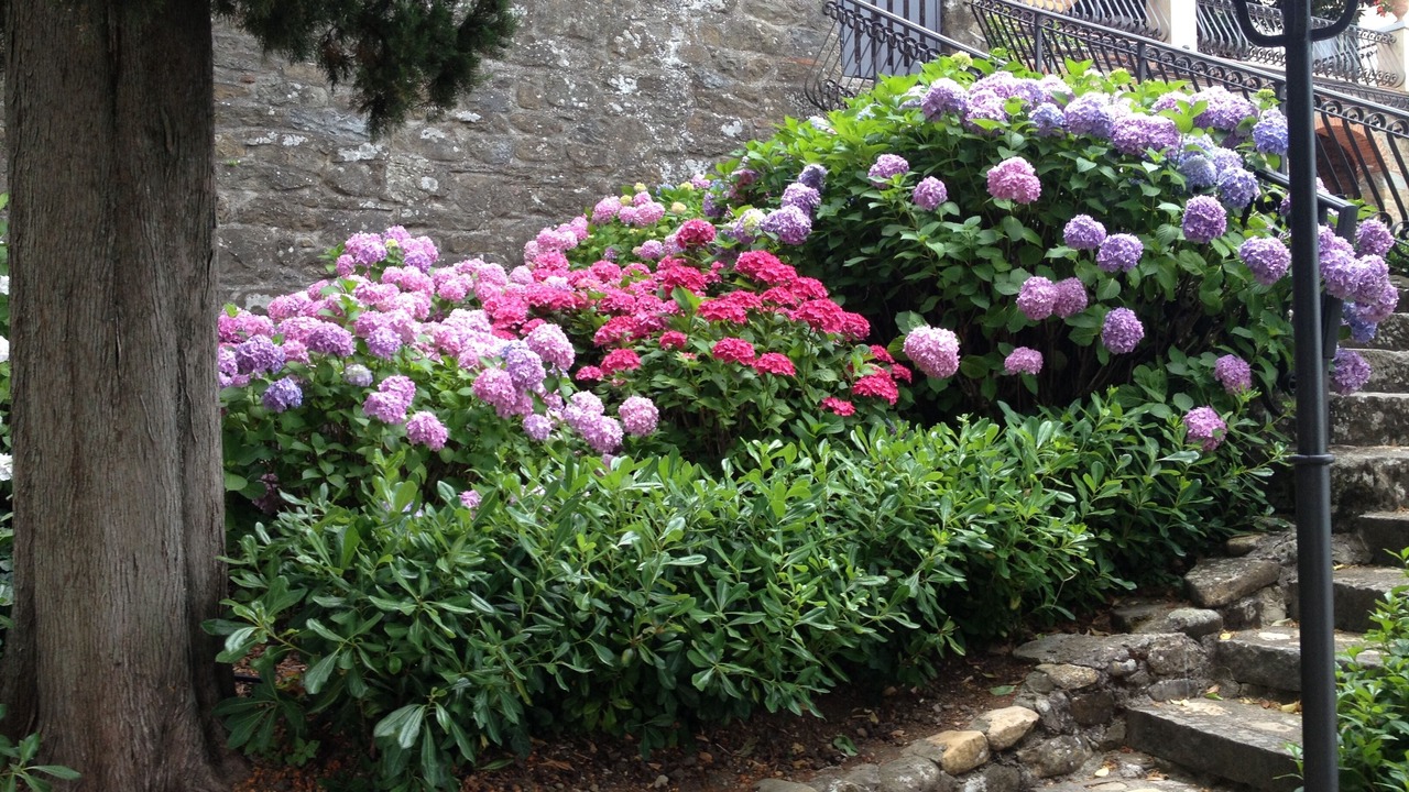 Photo of Outdoor in San Donato in Fronzano