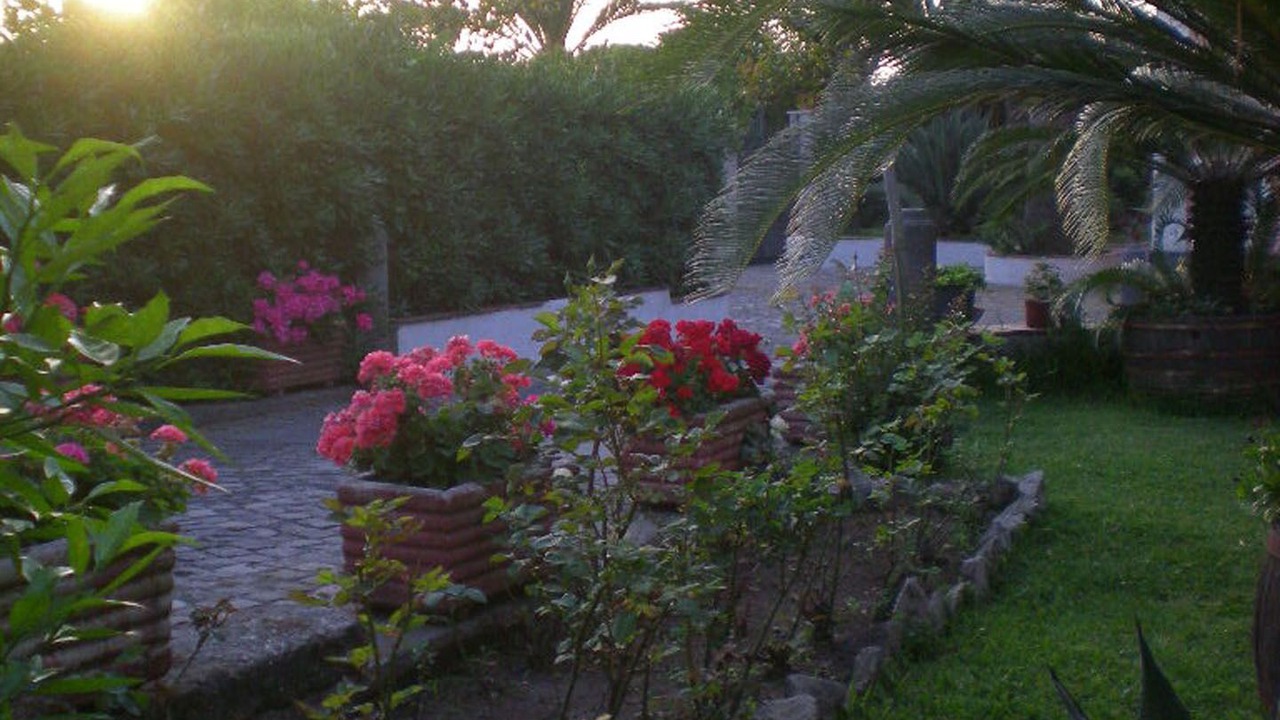 Photo of Outdoor in San Giorgio a Cremano
