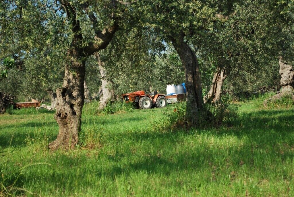 Photo of Outdoor in Tocco da Casauria