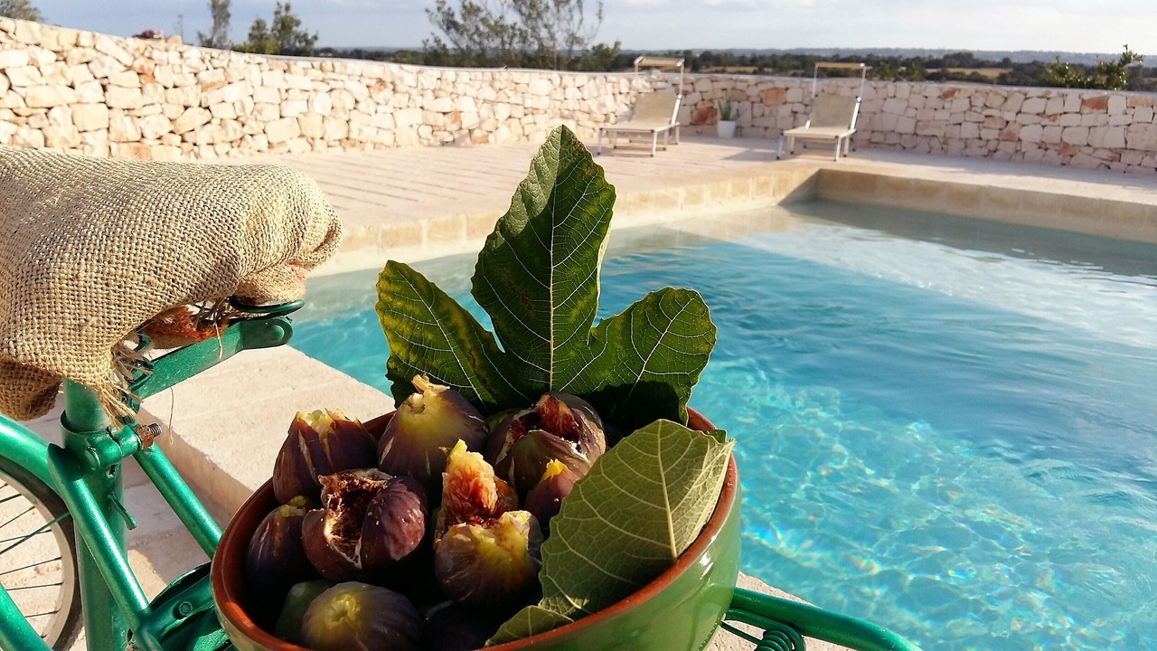 Photo of Outdoor in Cisternino