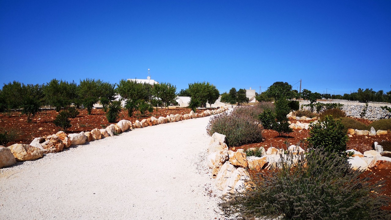 Photo of Outdoor in Cisternino