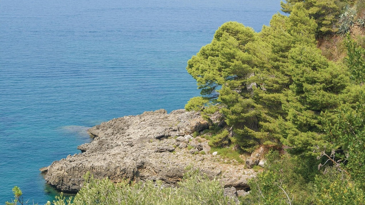 Photo of Others in Tortora