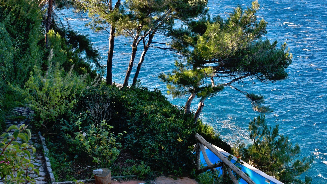 Photo of Others in Massa Lubrense