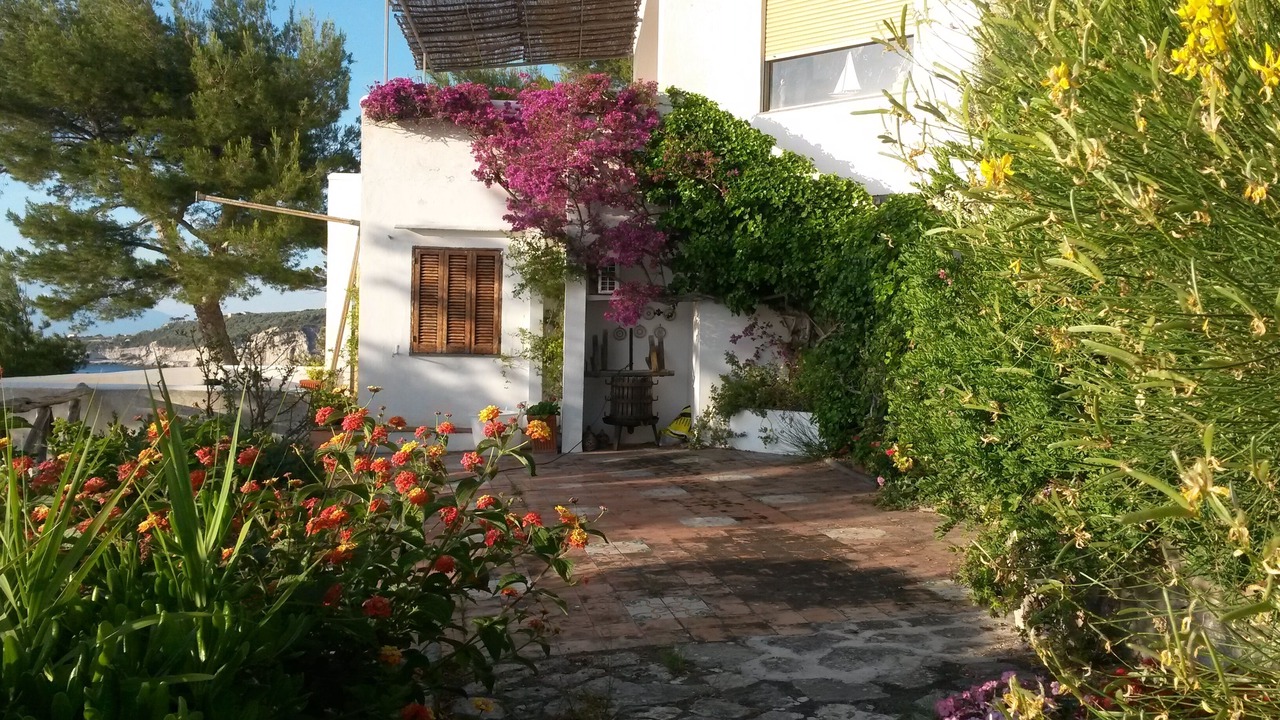 Photo of Outdoor in Massa Lubrense