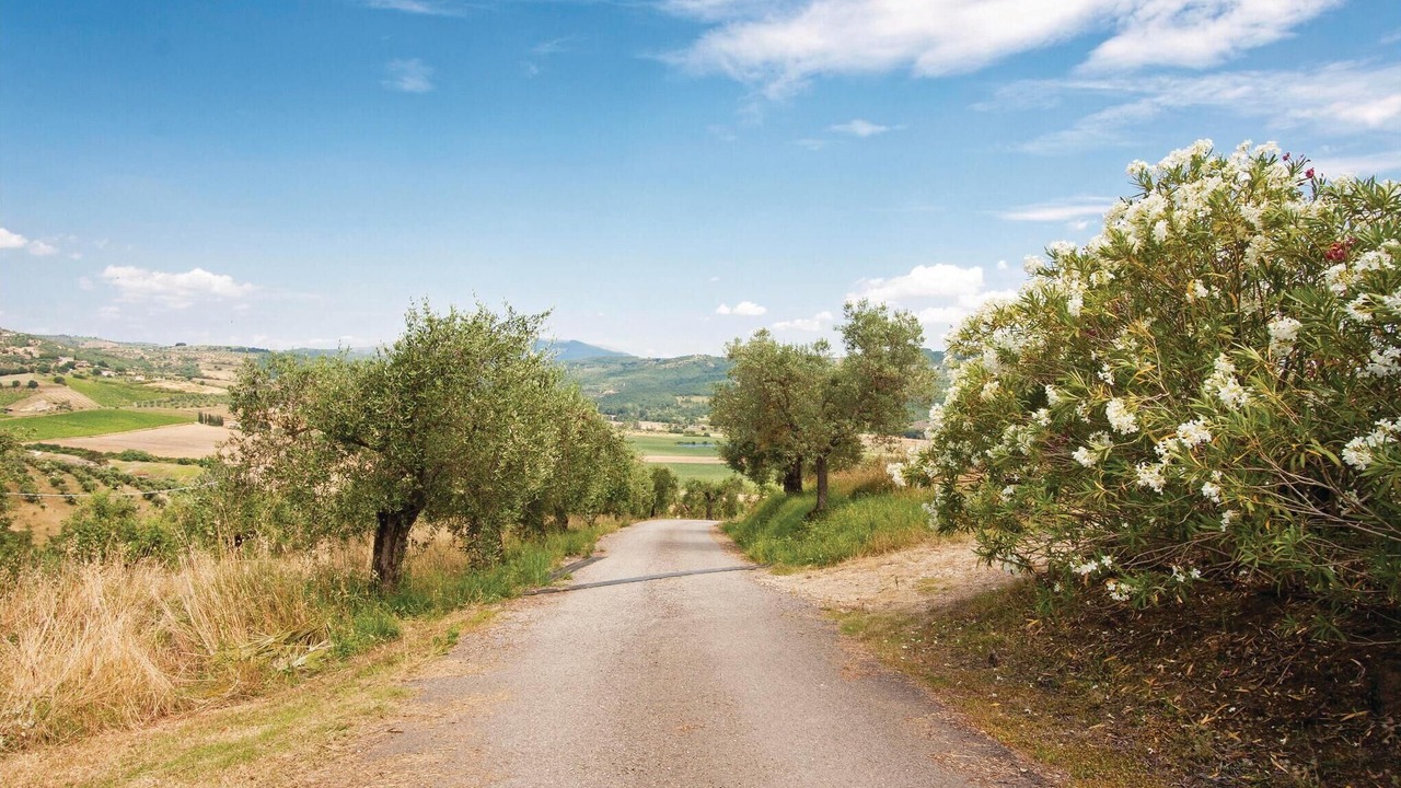 Photo of Others in Magione
