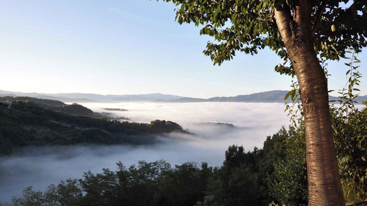 Photo of Outdoor in Gattaia