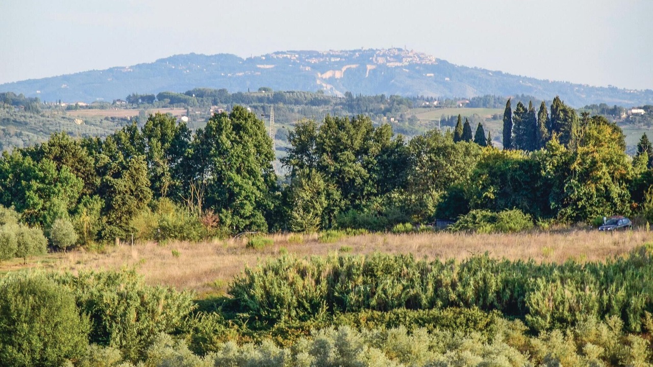 Photo of Others in Capannoli