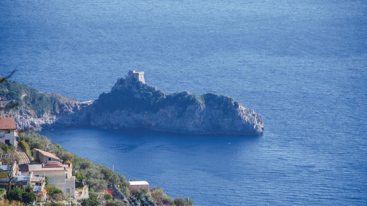 Photo of Others in Furore