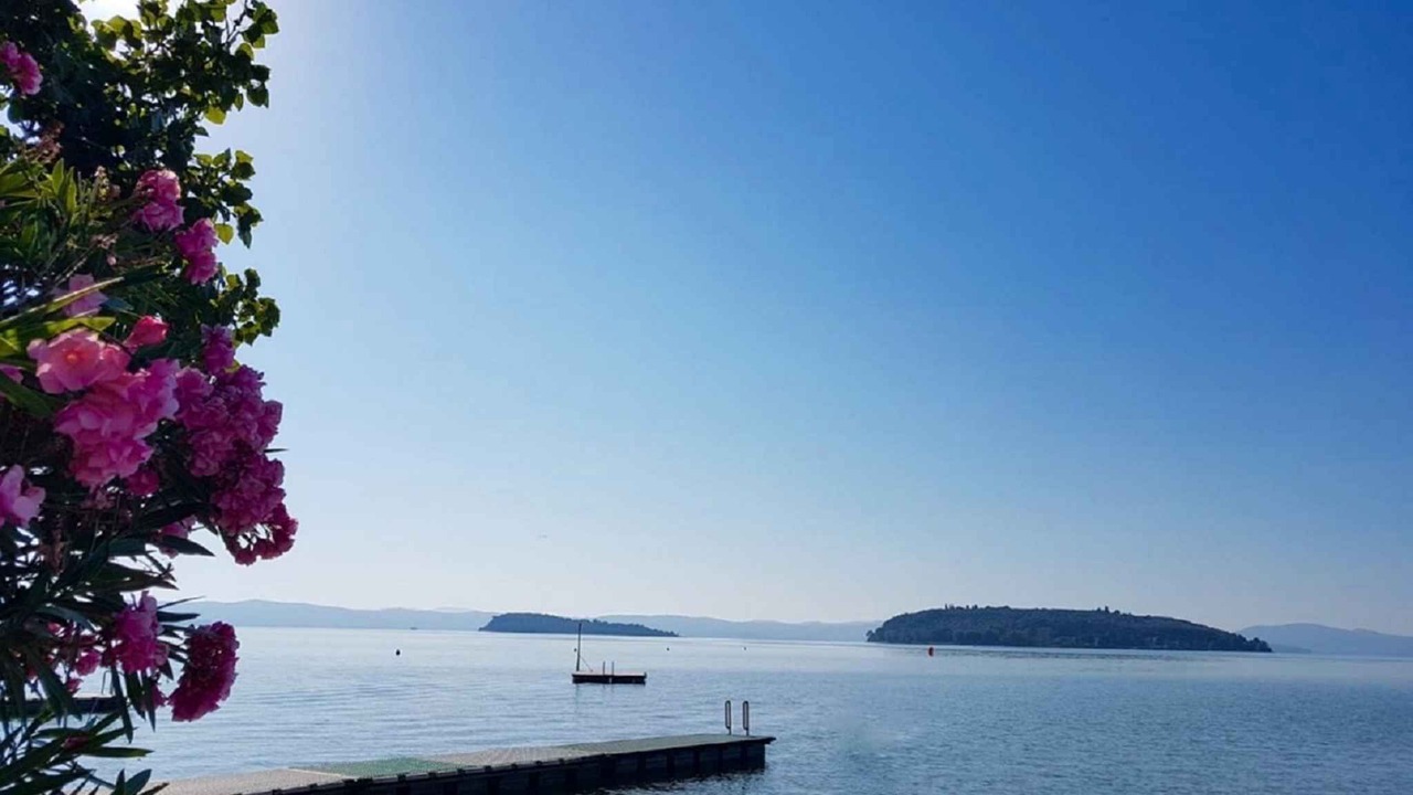 Photo of Others in Tuoro sul Trasimeno