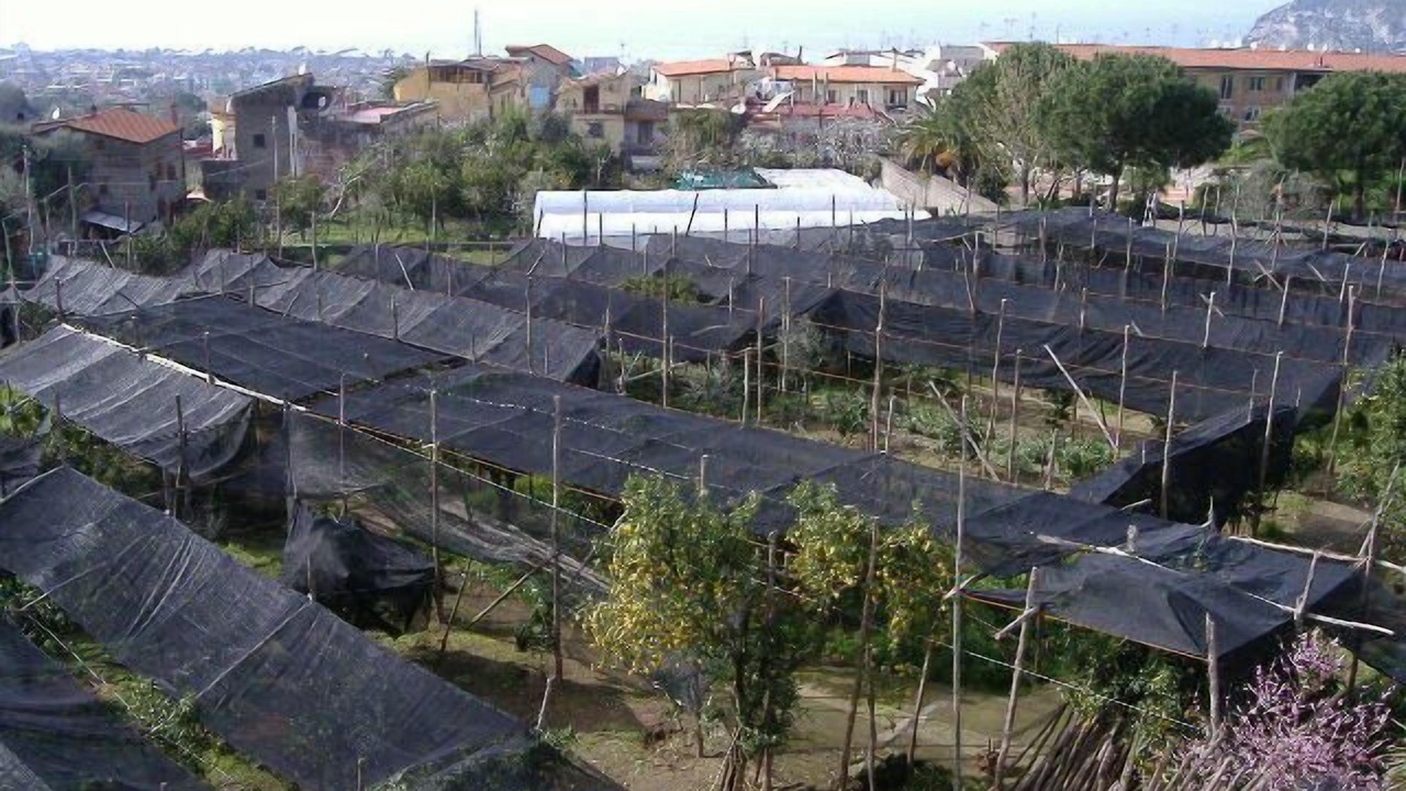 Photo of Outdoor in Piano di Sorrento