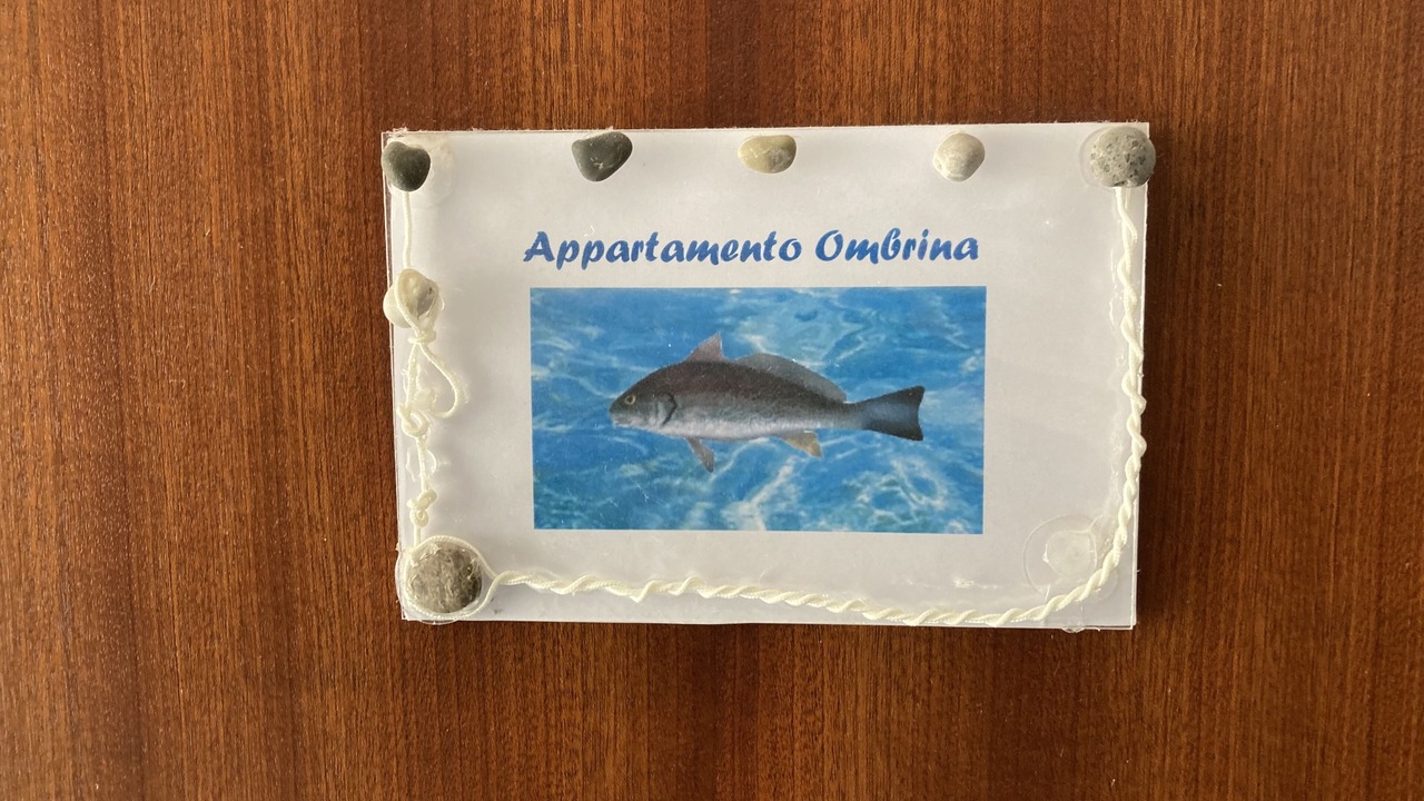 Photo of Others in Marina del Cantone