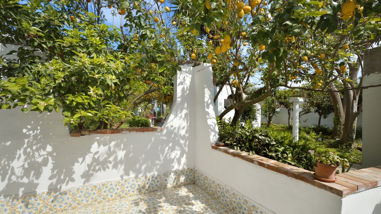 Photo of Outdoor in Procida