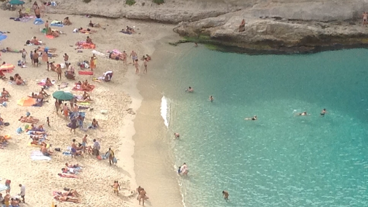 Photo of Others in Pizzo