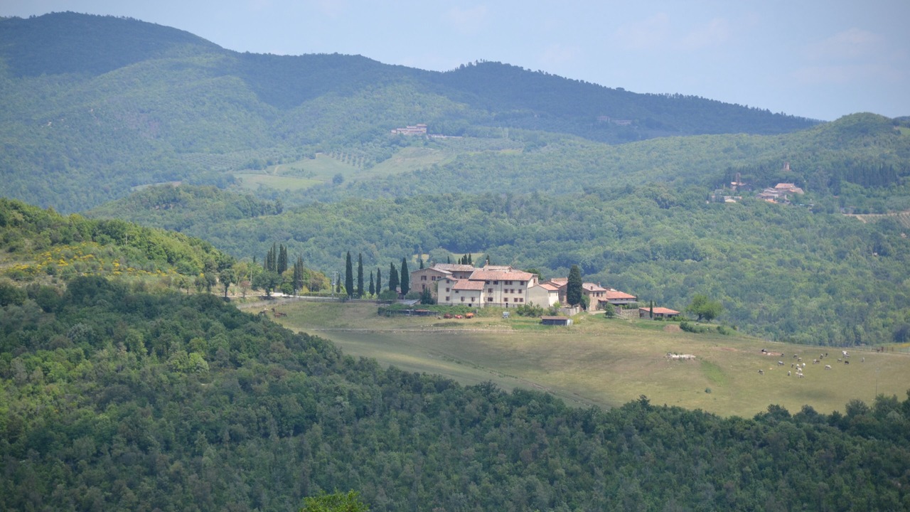 Photo of Outdoor in Santo