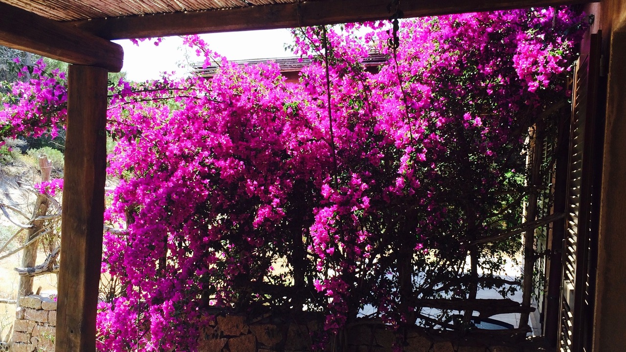 Photo of Outdoor in Santa Reparata