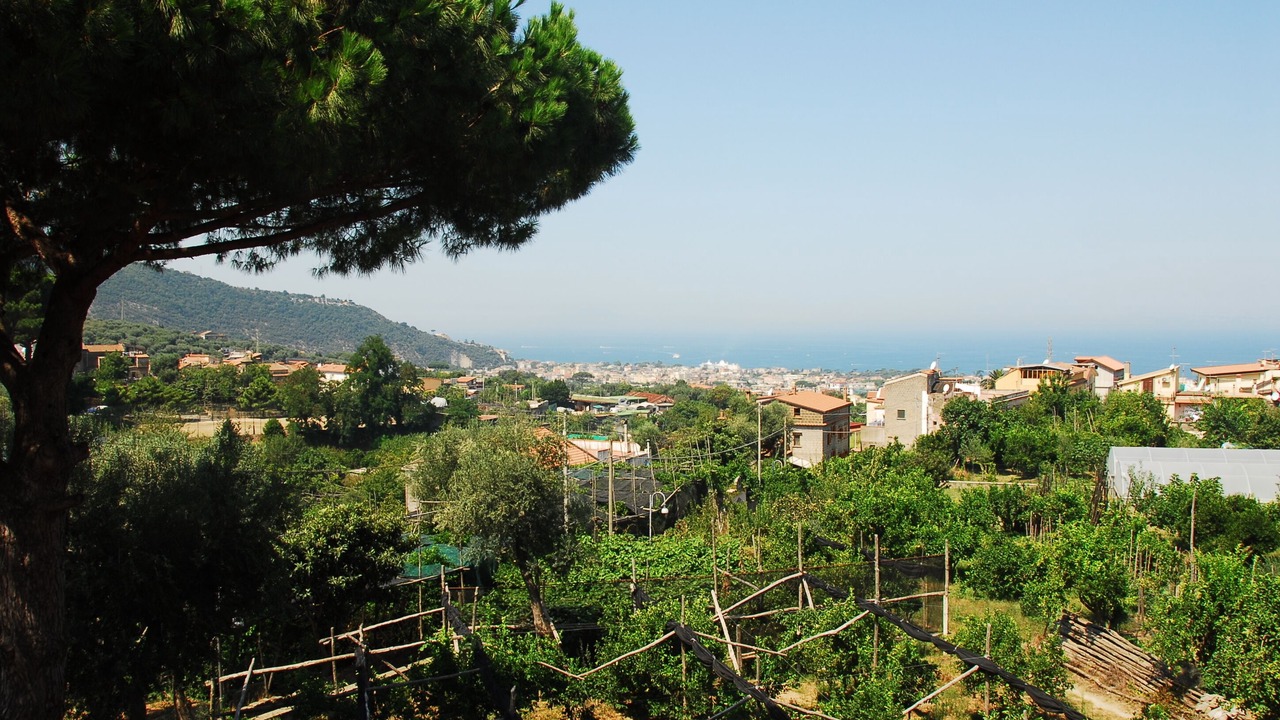 Photo of Others in Piano di Sorrento