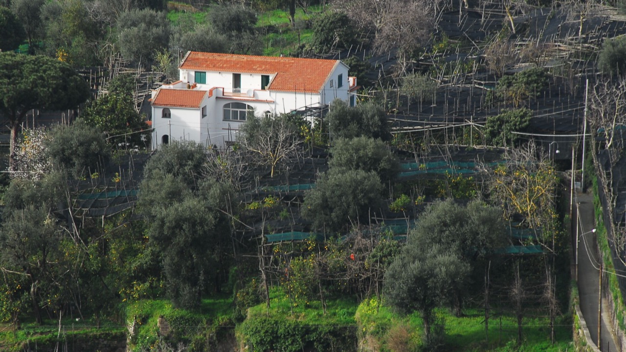 Photo of Outdoor in Piano di Sorrento