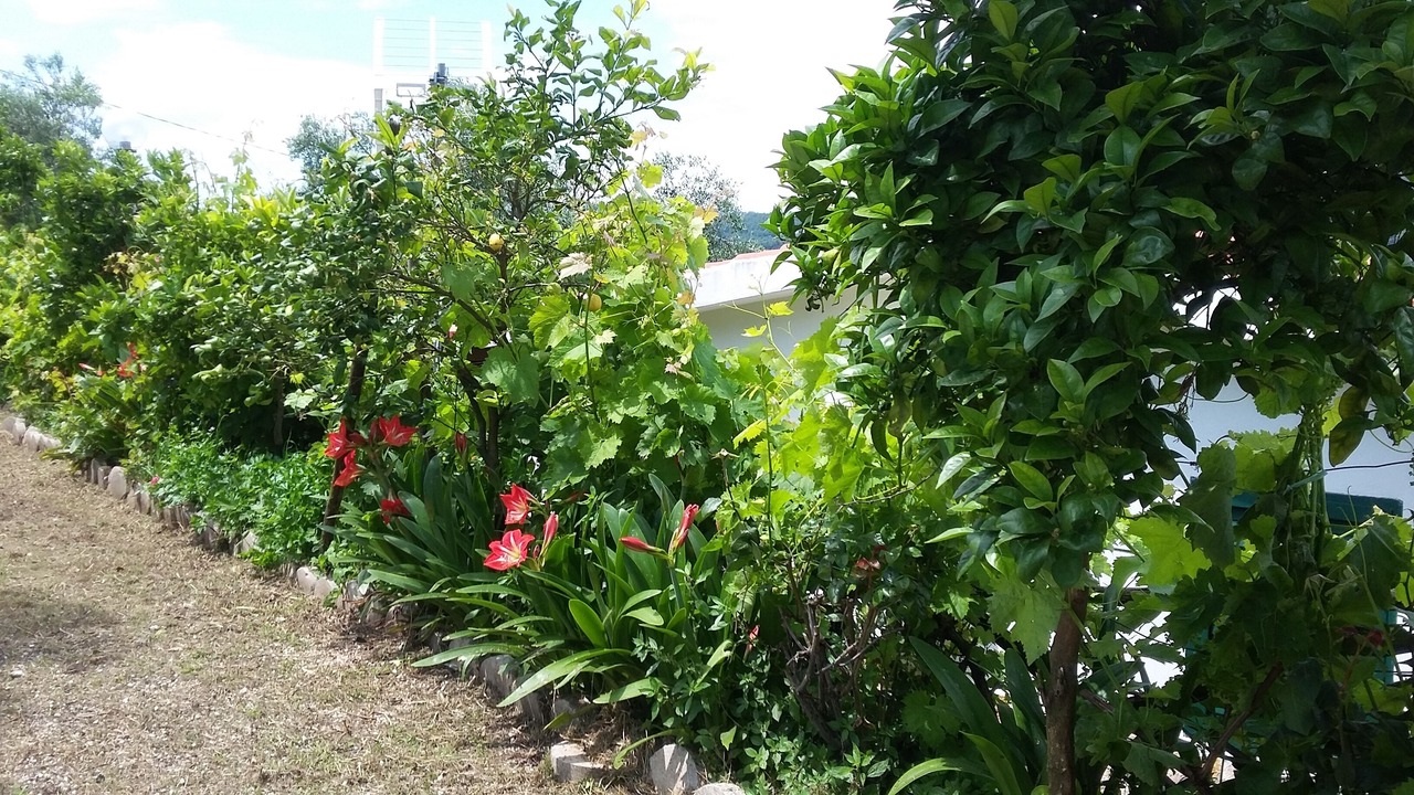 Photo of Outdoor in Mandrione