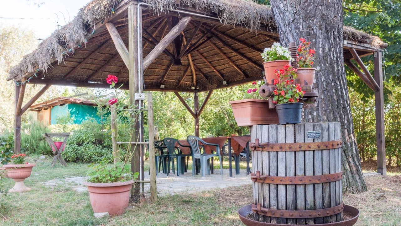 Photo of Outdoor in Foiano della Chiana