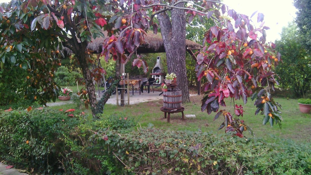 Photo of Outdoor in Foiano della Chiana