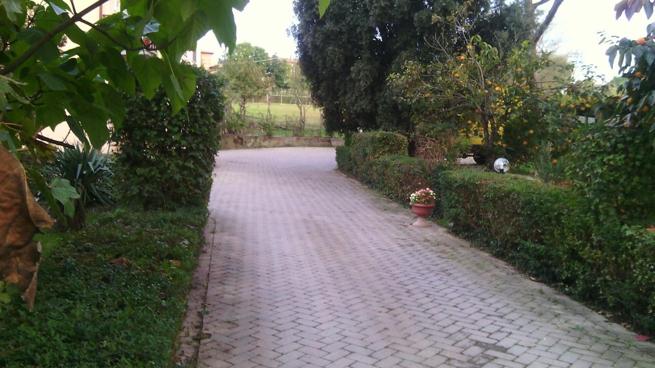 Photo of Outdoor in Foiano della Chiana
