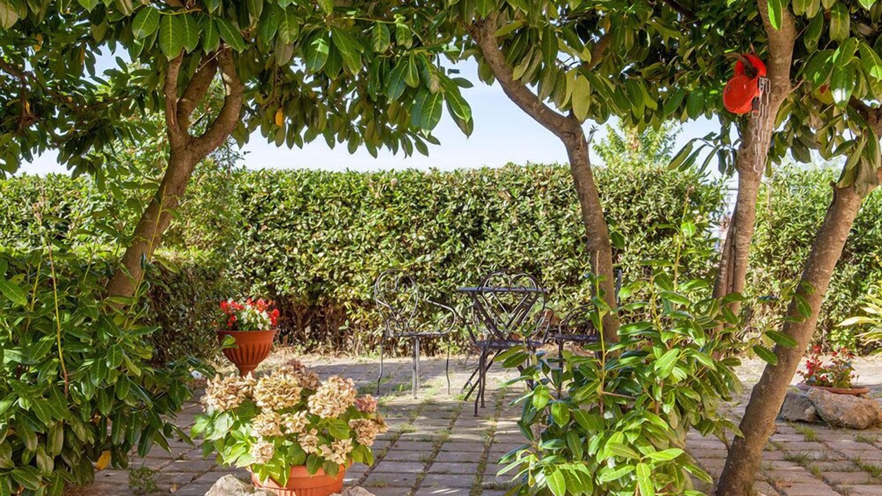Photo of Outdoor in Foiano della Chiana