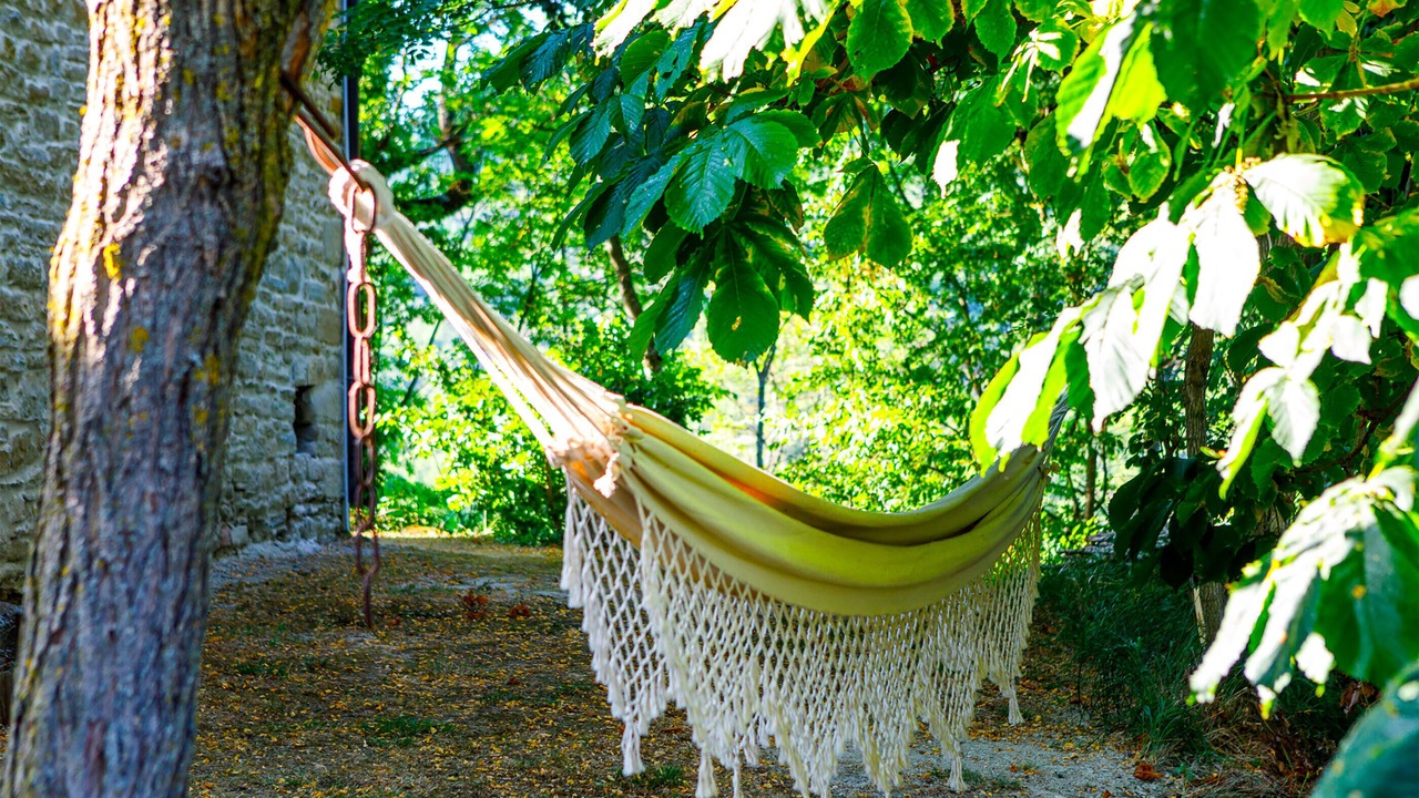 Photo of Outdoor in Santa Sofia