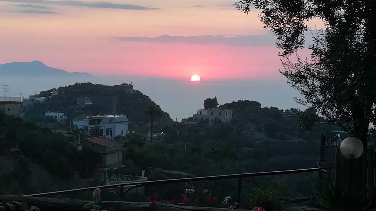 Photo of Outdoor in Schiazzano