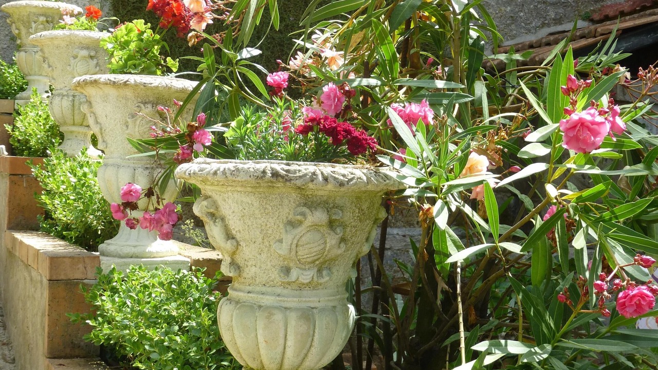 Photo of Outdoor in Schiazzano